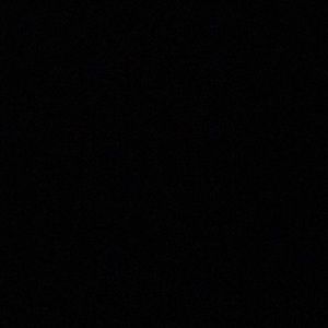 Meet your Posher, Stellaa